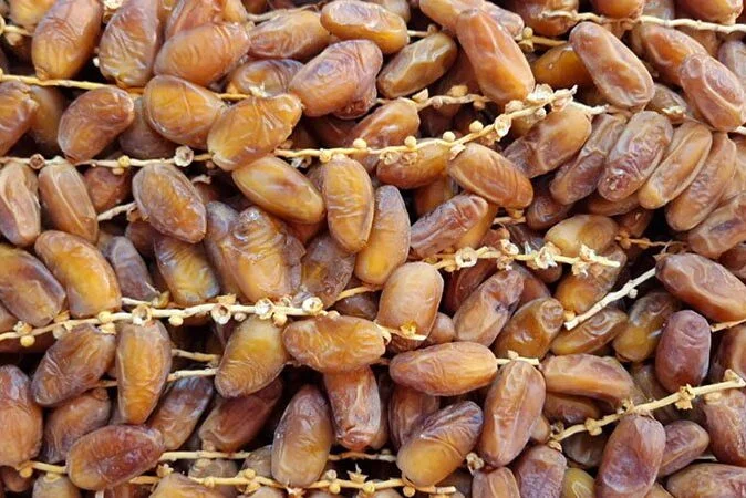 Branched_Dates-e1699561811567.jpg.webp